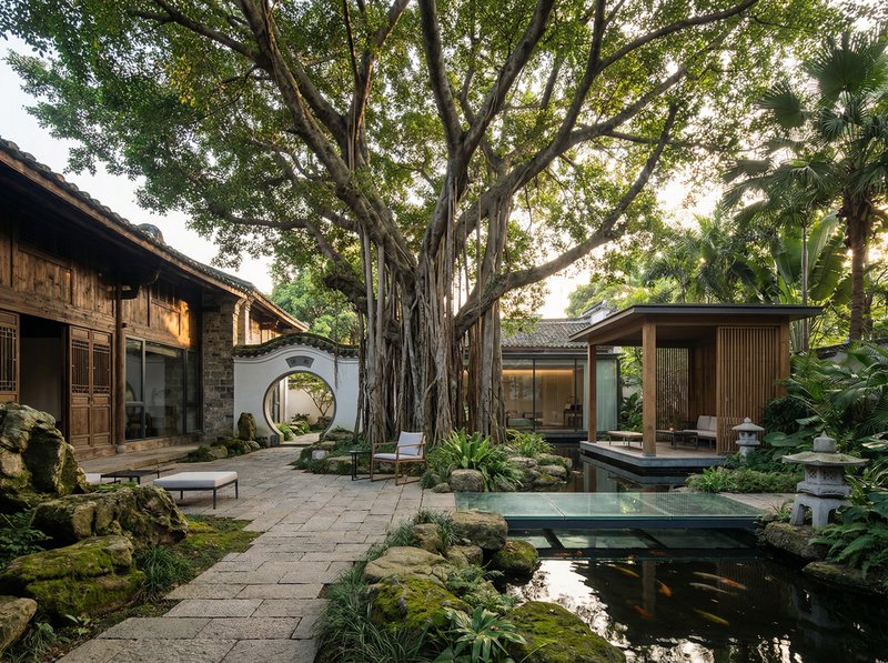 17c一起草古榕树纪录片视频