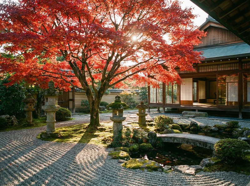 17c一起草红枫视频